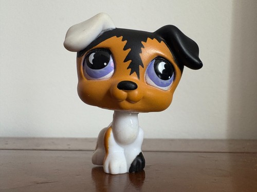 Petshop jack russel 803 - petshop,