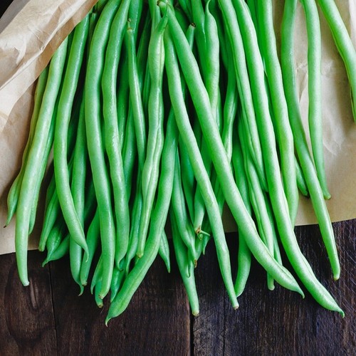 Graines haricot nain sans - nain,