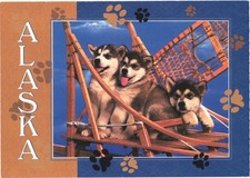 Alaska Alaskan Malamute Pups Sitting on a Sled Vintage Postcard