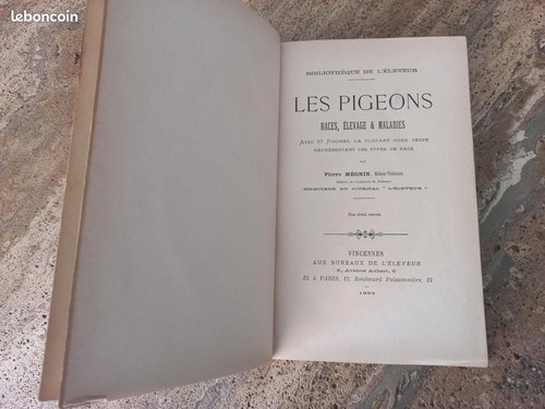 Pierre megnin - pierre, les