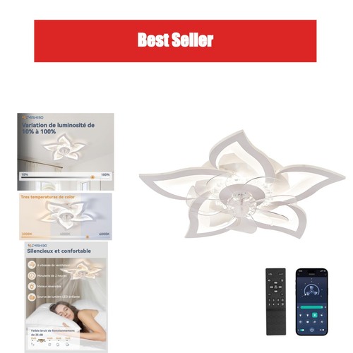 Zmishibo lustre ventilateur - zmishibo, de