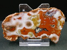 AGATE PUMA POLIE, COULEUR NATURELLE - MENDOZA, ARGENTINE - 8 x 4,5 cm - 74 g