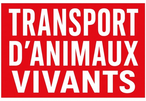 Autocollant sticker vinyle