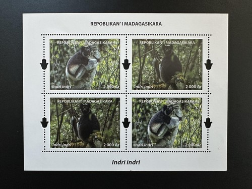 Madagascar madagaskar 2024 - madagascar, /