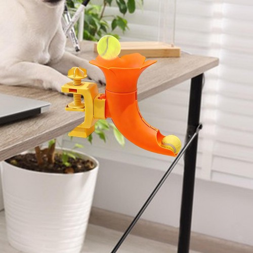 Jouet interactif pour chien