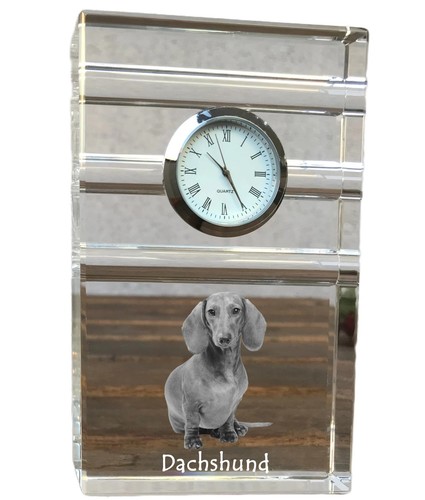 Teckel poil dur horloge à - poil,
