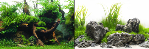 Poster fond aquarium - poster,