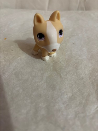 Hasbro petshop 2007 - petshop,