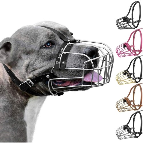 Muselière pour chien - pour, en