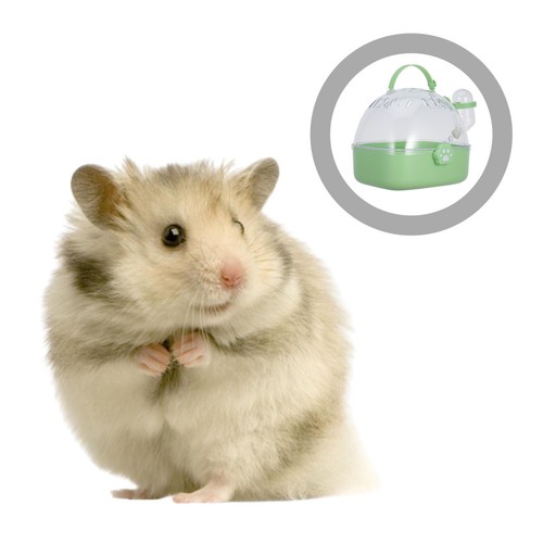 Cage pour lapin hamster - cage, À