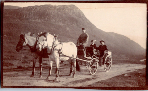 Norvège promenade en - promenade,