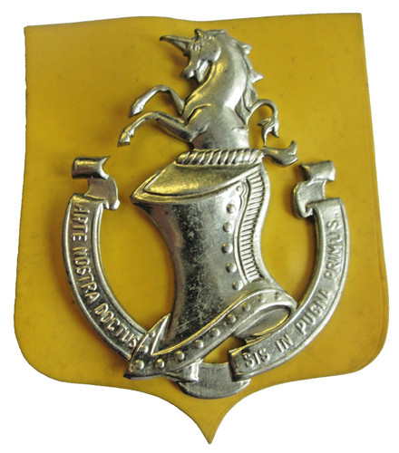 Insigne belge coiffure - belge,
