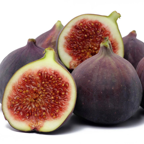 Ficus carica violette de - ficus, 'violette
