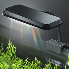 Carefree Fish Aquarium LED
