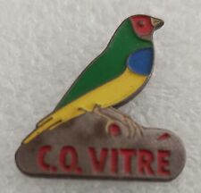 Bird Parakeet Bird Pines, Red Head. C.O Vitré. 35 ile et vilaine 
