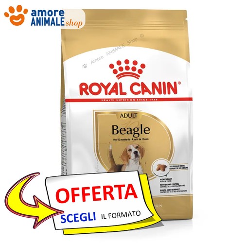 Royal canin chien adult - chien,