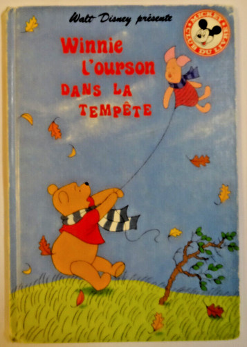 Winnie ourson dans la - winnie,
