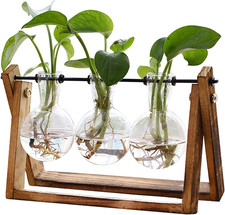 Plant Terrarium with Wooden