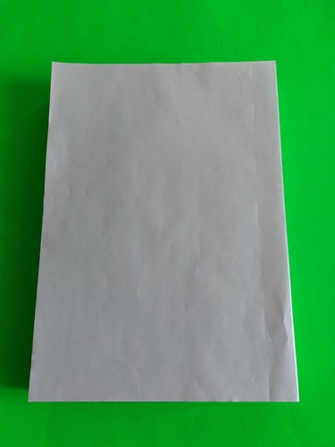 Ramette papier pelure vert - de,