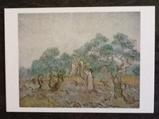 CP REPRO TABLEAU LE FIELD D'OLIVIERS PAR VAN GOGH - 5289