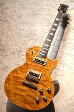 Gibson Slash Les Paul Standard  Appetite Burst~
