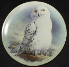 Assiette THE SNOWY OWL by