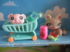 PETSHOP DUO : CHAT SPHYNX
