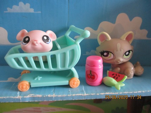 Petshop duo chat - duo, sphynx