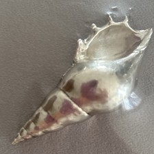 Christofle. Coquillage Presse-