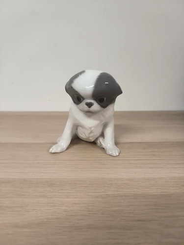 Chiot pékinois royal - chiot,