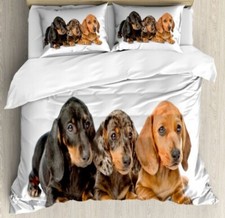 Teckel Linge de Lit Set Chiots Ensemble Sont Allongés