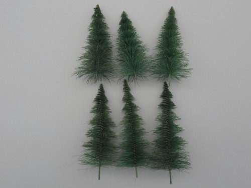Sapins coniques sans - 6,