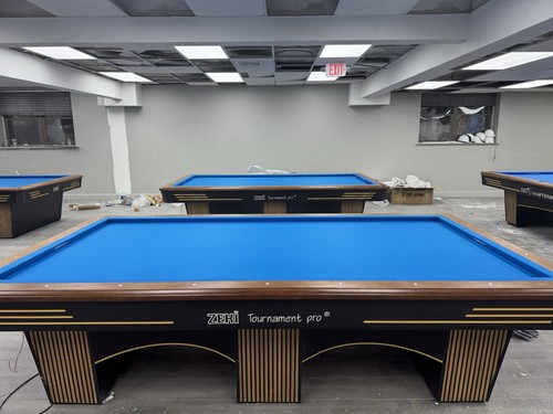 Cuishon billiard table - billiard,