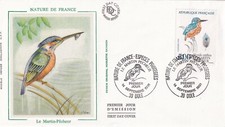 Envelope 1st day stamp 1991 BIRD THE KINGFISHER fisherman 2