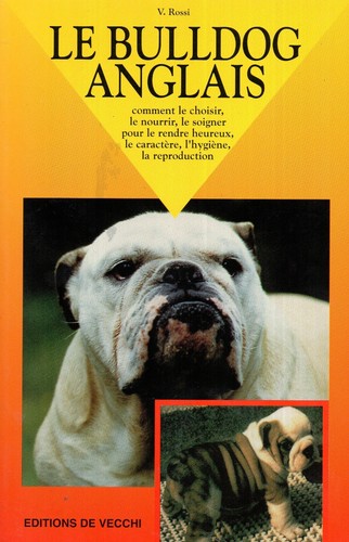 Bulldog anglais v - /, rossi