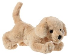 301573 – Golden Retriever couché Marron Clair