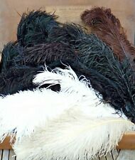 LOT ANCIENNES GRANDES PLUMES