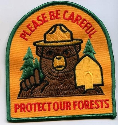 World forest firefighter ssi - firefighter,