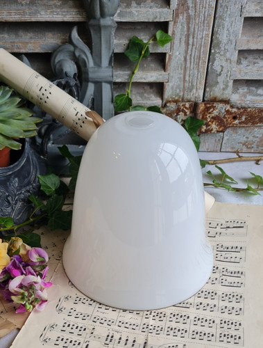 Ancienne tulipe opaline - ancienne,