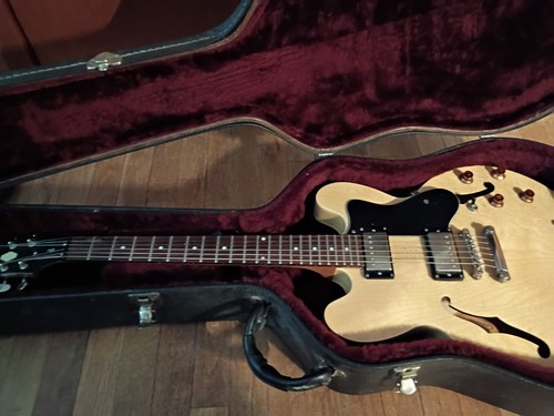 Epiphone archtop the - epiphone,