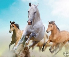 TAPIS DE SOURIS CHEVAL CHEVAUX 