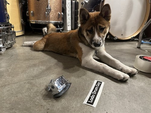 Tama tom drum - drum, leg
