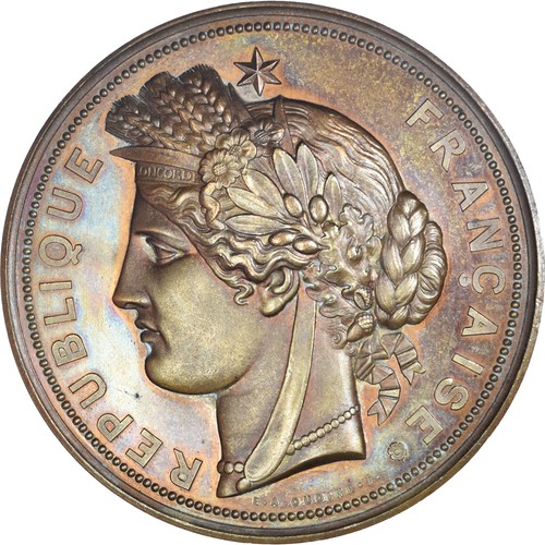 France médaille jules - france,, médaille,