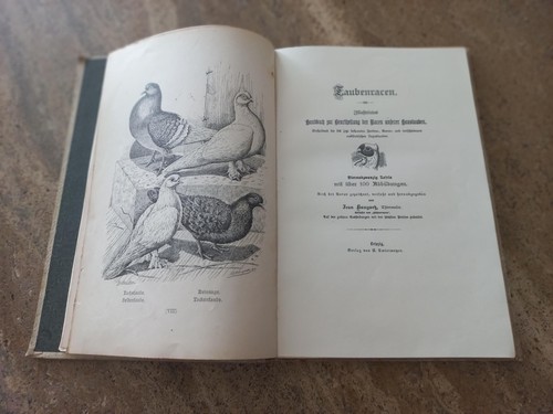 Jean bungartz tauben racen - :tauben,