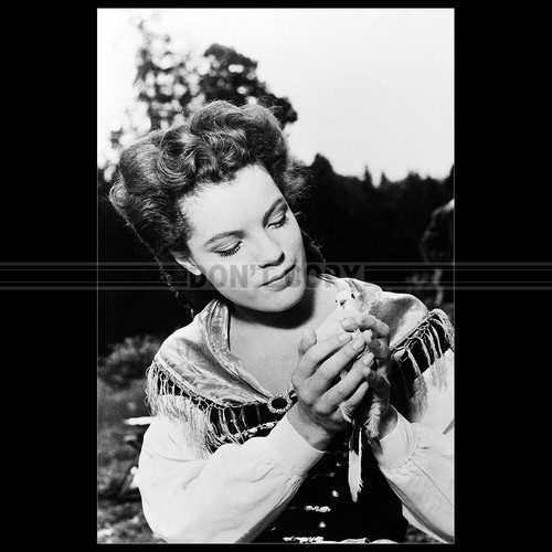 Photo 007474 romy schneider - photo,