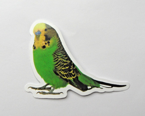 Vianille sticker thème - -,