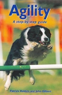 Agility step - agility:, guide