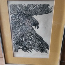 Jacob Landau Bird of Prey, 1960 Original Woodcut Print Edition 131/250