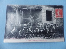 CPA  CHASSE à Courre en