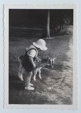 Child Hat Carress Goat Goat Cute Animal - Old Photo Snapshot